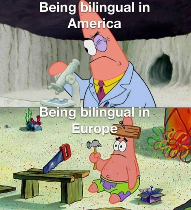 This is a two-panel comparison meme using Patrick Star from *SpongeBob SquarePants* to joke about differing cultural attitudes towards bilingualism. The top panel shows Patrick dressed as a professional scientist looking through a microscope, captioned "Being bilingual in America", representing that bilingualism is viewed as a rare, impressive specialized skill in the United States. The bottom panel shows Patrick as an unskilled handyman who has accidentally nailed a wooden plank to his own head while doing basic carpentry with a saw and hammer, captioned "Being bilingual in Europe", humorously highlighting that knowing multiple languages is such a common, expected basic skill across Europe that even ordinary people are expected to be bilingual.