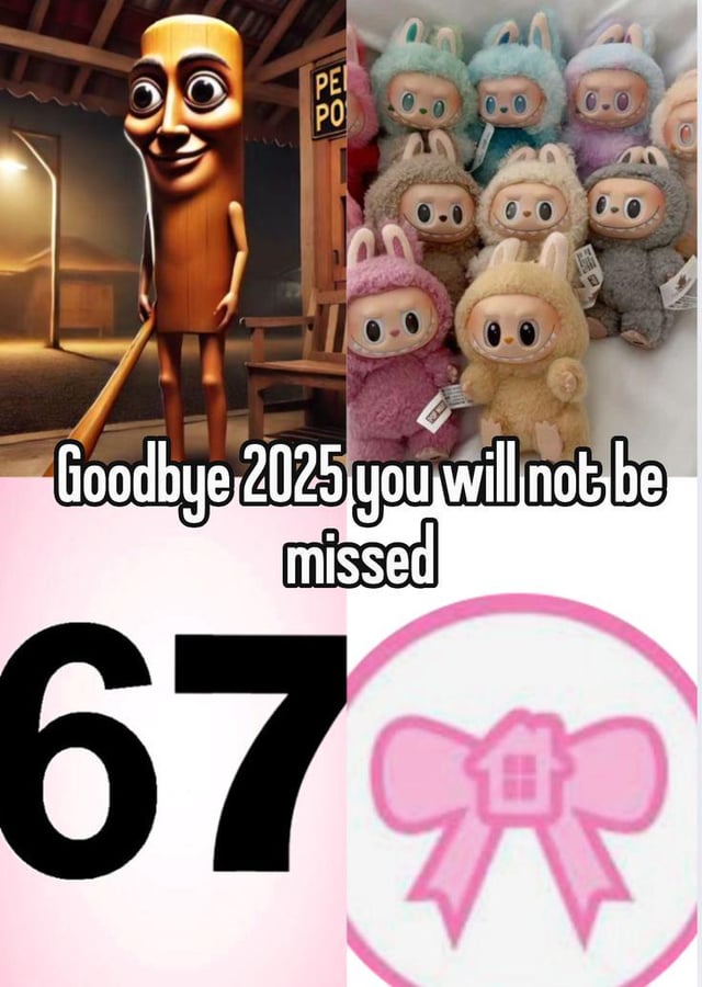 A collage-style meme divided into four quadrants, featuring a mix of visual elements and overlaid text. The top-left quadrant shows a tall, anthropomorphic wooden character with a smooth, cylindrical body, large round eyes, and a smiling expression, holding a wooden bat in a dimly lit room with a 'PE PO' sign in the background. The top-right quadrant displays a group of small, colorful plush toys with round faces, large eyes, and animal-like features (resembling rabbits or bears) arranged closely together. The bottom-left quadrant has a large, bold black number '67' on a light pink background. The bottom-right quadrant shows a pink circular logo with a stylized house icon flanked by a bow. Overlaid across the center of the collage is the text: 'Goodbye, 2025 you will not be missed', conveying a sarcastic or critical tone towards 2025 trends.