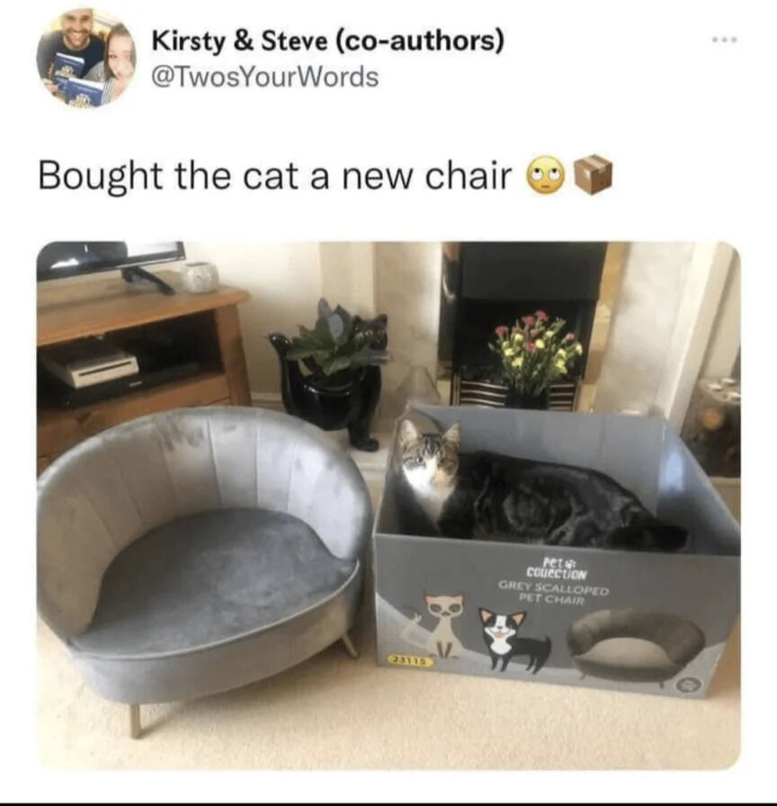 A photograph depicting a domestic scene where a newly purchased grey scalloped pet chair sits empty next to a cardboard box labeled 'PET COLLECTION GREY SCALLOPED PET CHAIR'. Inside the box, a black and white cat is comfortably lying down, ignoring the expensive pet chair. The image is paired with a tweet from Kirsty & Steve (@TwosYourWords) that reads 'Bought the cat a new chair 😐📦', humorously illustrating the common phenomenon of pets preferring simple boxes over designated furniture. The background includes a wooden TV stand, a potted plant, and a fireplace with flowers, creating a cozy home setting.