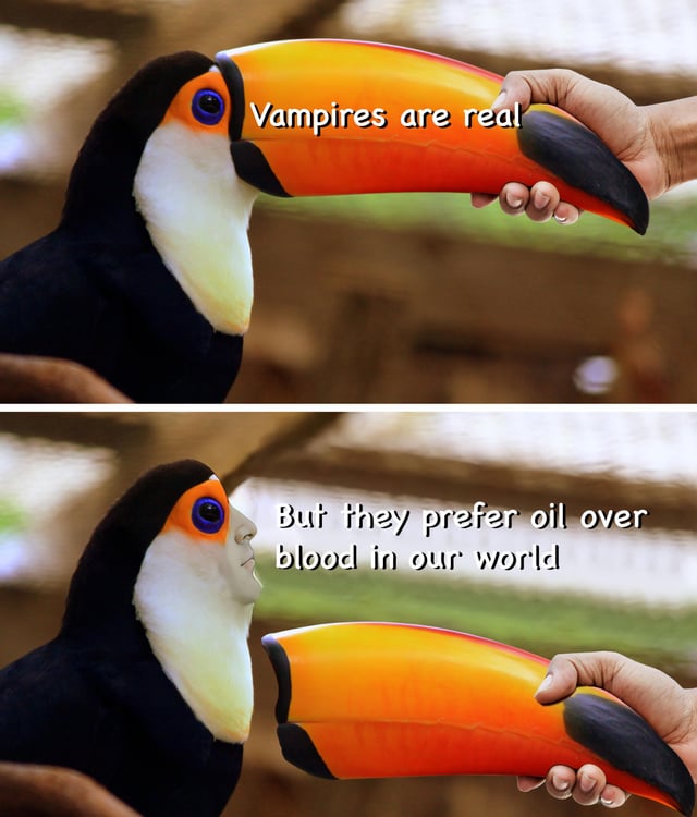 A two-panel meme featuring a toucan. The top panel shows a close-up of a toucan with its large, colorful beak being gently held by a human hand, accompanied by the text 'Vampires are real'. The bottom panel shows the same toucan with its beak slightly open, with the text 'But they prefer oil over blood in our world'. The joke subverts the traditional vampire trope by replacing 'blood' with 'oil', likely offering satirical commentary on resource exploitation or corporate greed.