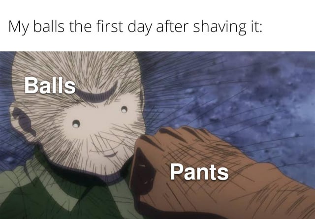 A meme featuring an anime screenshot. The top text reads 'My balls the first day after shaving it:' to set context. Below is an animated character with spiky, stubbly facial hair labeled 'Balls', representing post-shave stubble, and a fist labeled 'Pants' approaching the character. The humor stems from the relatable discomfort of stubbly skin rubbing against clothing after shaving.