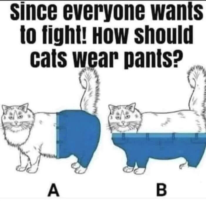 A meme featuring a humorous debate question at the top: 'since everyone wants to fight! How should cats wear pants?' Below the text are two illustrations of white cats labeled A and B. Cat A wears blue pants covering only the hind legs and tail area, while Cat B wears blue pants covering the entire lower body from the chest down. The meme playfully presents two options for how cats 'should' wear pants, inviting viewers to take sides in a lighthearted argument.