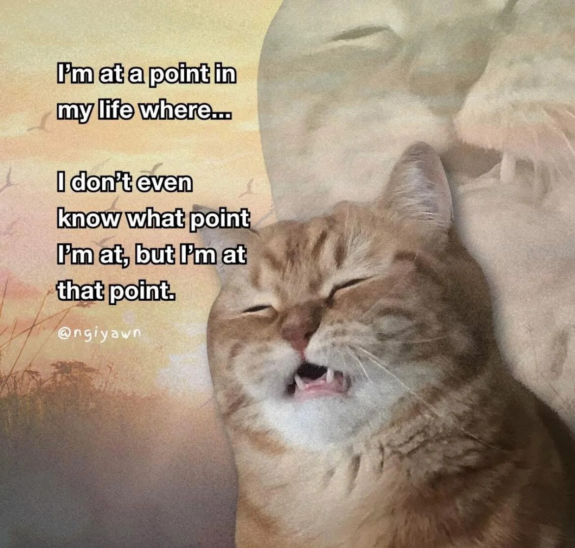 A meme featuring a close-up of an orange tabby cat with closed eyes, mouth slightly open, and a relaxed expression. The background has a soft, warm gradient with faint outlines of birds and a larger, indistinct figure, creating a calm atmosphere. On the left side of the image, white text with a black outline reads: 'I'm at a point in my life where... I don't even know what point I'm at, but I'm at that point.' A watermark '@ngiyawn' is located at the bottom left corner.