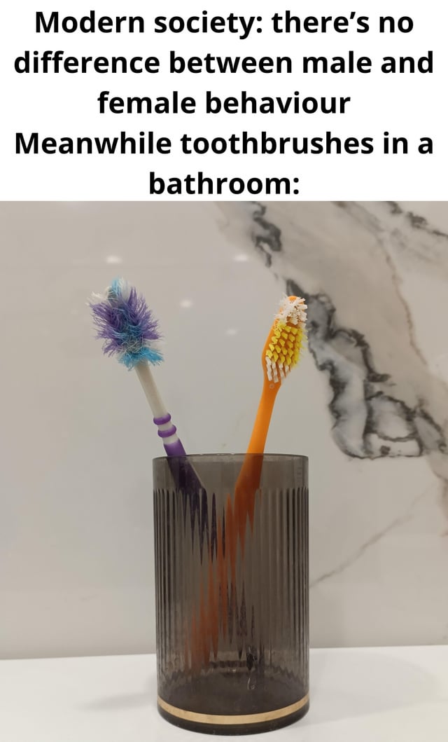 This meme consists of text at the top followed by a photograph of two toothbrushes in a bathroom. The opening text states 'Modern society: there's no difference between male and female behaviour', then the next line reads 'Meanwhile toothbrushes in a bathroom:'. The photo shows two toothbrushes placed in a smoked glass ribbed cup with a gold base, sitting on a white countertop against a marble-patterned wall. One toothbrush has extremely frayed, splayed, worn-out bristles, stereotyped as belonging to a man, while the other toothbrush has neat, barely worn, intact bristles, stereotyped as belonging to a woman. The joke satirically implies that there is a clear difference in behavior between men and women as demonstrated by how aggressively each uses their toothbrush, playing on common gendered stereotypes of how people care for personal items.