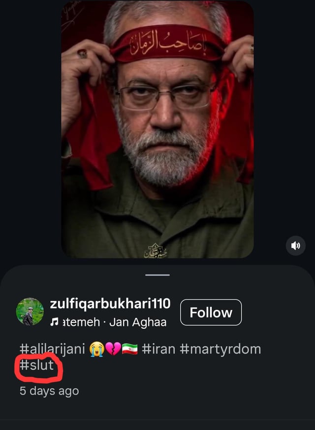 This is a screenshot of an Instagram post showing a serious portrait of Iranian public figure Ali Larijani adjusting a red Arabic-script headband. The poster added multiple respectful hashtags about Ali Larijani, Iran, and martyrdom alongside mourning emojis and an Iranian flag, but accidentally added the vulgar English hashtag #slut. The unintended hashtag is circled in red to highlight the awkward, shocking mistake, which is shared as a meme.