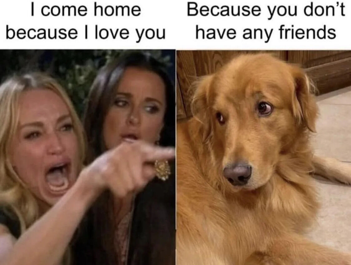 A two-panel meme. The left panel features two women, one with blonde hair and an angry expression pointing aggressively at the other, with the text overlay 'I come home because I love you'. The right panel shows a golden retriever dog lying on the floor with a sad, dejected expression, accompanied by the text 'Because you don't have any friends'. The meme humorously contrasts the confrontational, emotional statement on the left with the dog's implied 'truth' on the right, creating a sarcastic and relatable joke about social isolation.