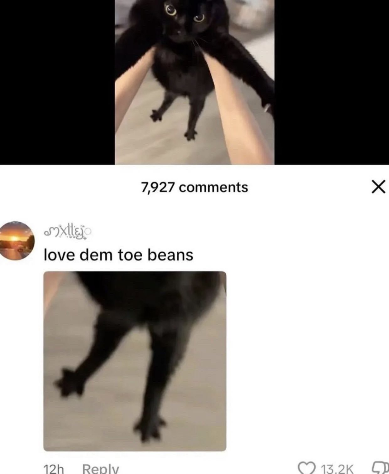 The image is split into two parts. The top section shows an original photo of a wide-eyed black cat being held up by a person's arms, with its hind legs hanging down facing the camera. The lower section is a screenshot of a public comment from an X.com (formerly Twitter) post thread that has 7927 total comments. The comment reads 'love dem toe beans' and is paired with a heavily zoomed, blurry cropped version of the original cat photo that focuses entirely on the cat's hind paw toe beans. The comment has 13.2 thousand likes as of the screenshot.