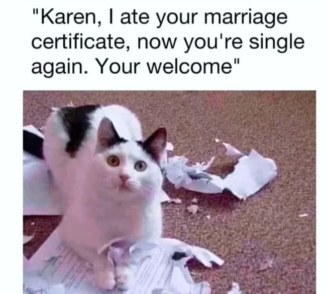 The meme features a white and black tuxedo cat sitting on a carpeted floor surrounded by torn pieces of paper. Above the image, a humorous text attributed to the cat reads: 'Karen, I ate your marriage certificate, now you're single again. Your welcome'. The cat has wide, innocent-looking eyes, creating a comedic contrast between its cute appearance and the mischievous implication of destroying a marriage certificate. The joke plays on the internet slang 'Karen' and the absurd scenario of a pet interfering with a human's relationship status through a playful act of tearing paper.