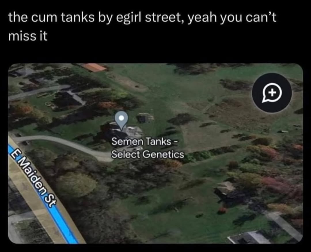 A screenshot of a map (likely from a service like Google Maps) showing a location labeled 'Semen Tanks - Select Genetics' on 'E Maiden St'. The image has been edited with a top text overlay that reads: 'the cum tanks by egirl street, yeah you can’t miss it'. This modifies the original map labels by replacing 'Semen' with 'cum' (vulgar slang) and 'E Maiden St' with 'egirl street' (incorporating internet slang for a specific online persona type), creating a humorous and sarcastic effect through wordplay and cultural references.