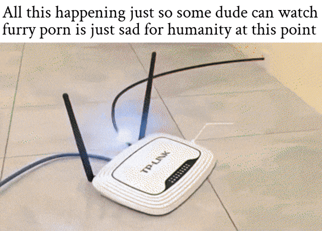A satirical meme featuring a collage of four visual elements: a globe with satellite dishes and technical labels, a radar-like diagram with the word 'Affectionate', a mathematical/technical chart referencing names like Michael Phelps and Michael Jordan, and a TP-Link router. Overlaid repeatedly at the top and bottom is the text: 'All this happening just so some dude can watch furry porn is just sad for humanity at this point'. The meme humorously critiques the absurdity of advanced technological infrastructure (satellites, networking, technical diagrams) existing to facilitate trivial or niche internet activities like accessing furry porn.