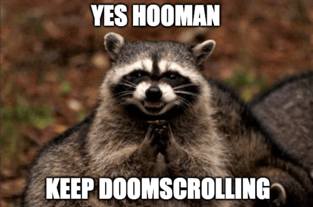 A meme featuring a close-up photograph of a raccoon with a mischievous, almost sinister smirk. The raccoon is positioned upright, with its front paws clasped together in a gesture resembling begging or scheming. Overlaid text at the top of the image reads 'YES HOOMAN' in bold, uppercase letters, and at the bottom reads 'KEEP DOOMSCROLLING', encouraging the viewer to continue mindlessly scrolling through social media content. The background is a blurred natural setting with earthy tones, ensuring focus remains on the raccoon's expressive face and the humorous, relatable message about internet behavior.