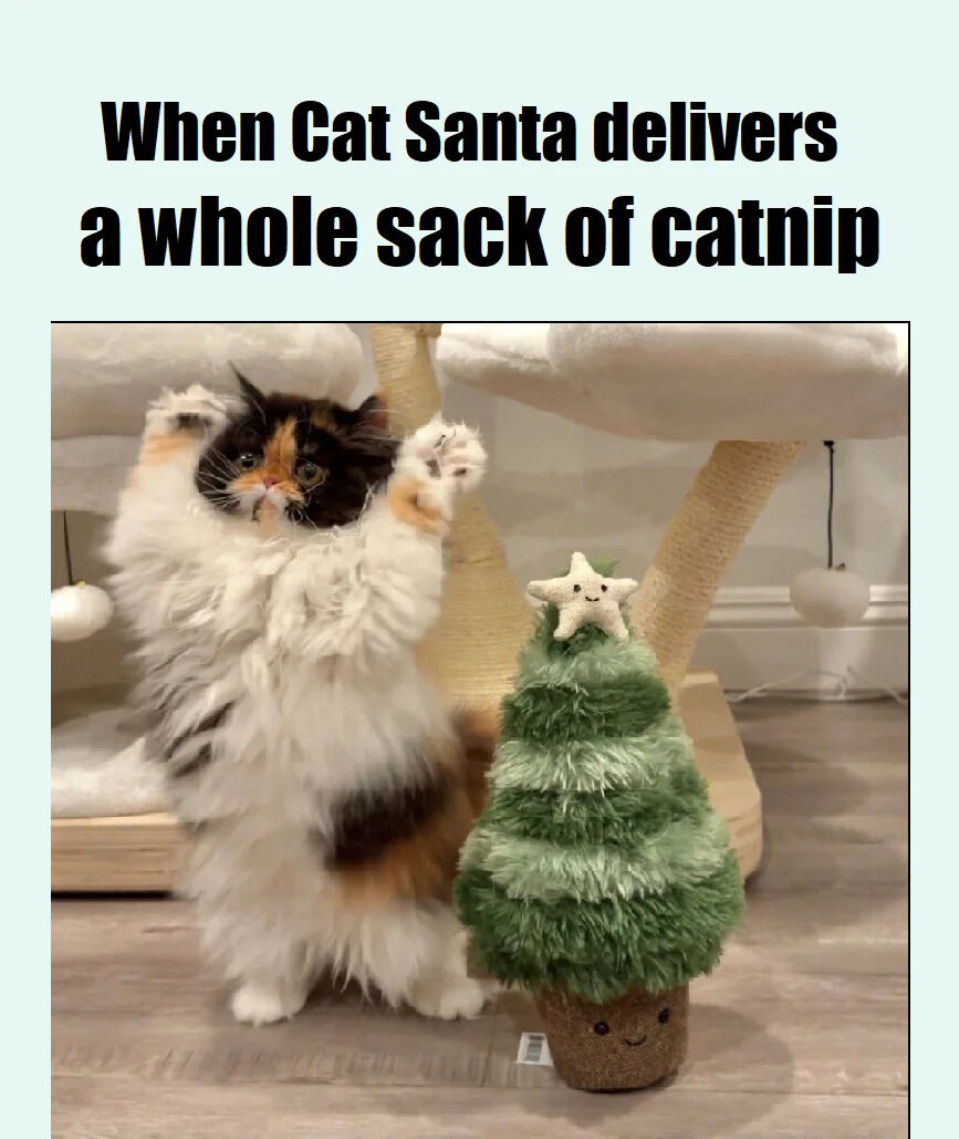 A wholesome meme featuring a fluffy calico cat standing on its hind legs with front paws raised, appearing excited and playful. To the right of the cat is a small, plush Christmas tree with a smiling star on top. The background includes a beige cat tree with white platforms. The top text reads 'When Cat Santa delivers a whole sack of catnip,' humorously depicting the cat's joyful reaction to receiving catnip as a Christmas gift from a feline version of Santa Claus.