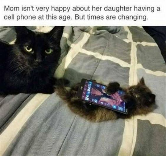 This humorous animal meme features two cats on a grey patterned blanket: an adult black cat with a disapproving, annoyed expression lying still, and a small fluffy kitten positioned as if holding and actively using a smartphone. The top overlay text reads: *"Mom isn't very happy about her daughter having a cell phone at this age. But times are changing."* 

The joke relies on anthropomorphism, applying a relatable human parenting scenario to cats: it parodies the frustration of older generations (represented by the "mom cat") with young kids (the kitten) using mobile devices at an early age, highlighting generational differences in technology adoption. The visual gag comes from staging the kitten with the phone to mimic a child engrossed in a device, paired with the mom cat's unimpressed stare to sell the frustrated parent persona.