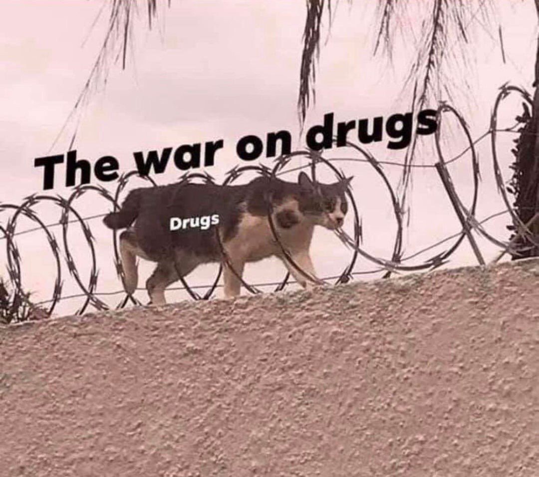 The meme features a real photo of a grey and white domestic cat calmly walking along the top of a rough concrete wall, passing directly through strands of sharp razor barbed wire without being injured. Two text overlays are added: the phrase 'The war on drugs' is placed above the barbed wire barrier, while the word 'Drugs' is printed directly onto the cat's body. The joke functions as a satirical commentary, implying that global governmental 'war on drugs' efforts (represented by the barbed wire, intended to block access) are completely ineffective, as drugs (represented by the unbothered cat) easily bypass all supposed barriers and restrictions unimpeded.