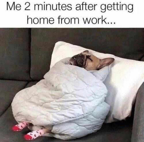 This relatable meme features a photograph of a French bulldog resting on a dark gray couch, propped up against a white pillow. The dog is fully wrapped in a light, quilted gray blanket, with only its sleepy face and two feet clad in pink socks with red toes and black heart prints visible. The text above the photo reads "Me 2 minutes after getting home from work...", humorously comparing the dog's completely drained, resting state to the common experience of being extremely tired after a workday and immediately collapsing to rest as soon as one arrives home.