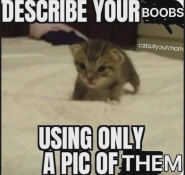 This single-panel meme features a blurry photo of a small tabby kitten peeking out from under a light-colored blanket, facing the viewer with a neutral squinted expression. Text at the top reads 'DESCRIBE YOUR BOOBS' with the word 'BOOBS' partially obscured by a black censor bar, while text at the bottom reads 'USING ONLY A PIC OF THEM'. The joke is a crude visual pun implying the blurry shape of the kitten peeking out from the blanket is a stand-in image to describe breasts, playing on the silly low quality of the cat photo for humorous effect.