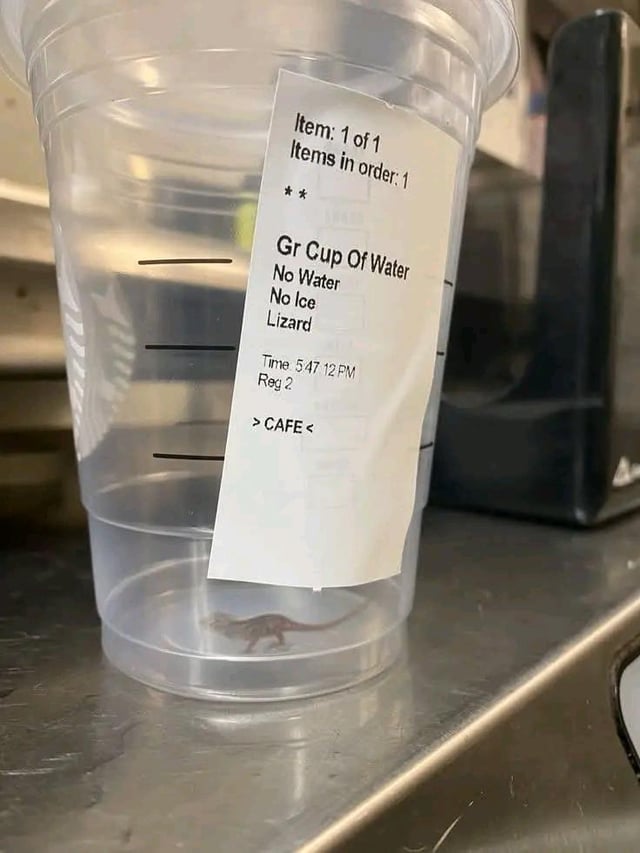 A photograph of a clear plastic cup from a cafe, placed on a metallic countertop. The cup's label reads: 'Item: 1 of 1 Items in order: 1 ** Gr Cup Of Water No Water No Ice Lizard Time 5:47:12 PM Reg 2 >CAFE<'. Inside the empty cup (with no water or ice), there is a small lizard visible at the bottom. The humor arises from the absurdity of the label specifying 'Lizard' as an ingredient instead of water, making the 'beverage' undesirable.