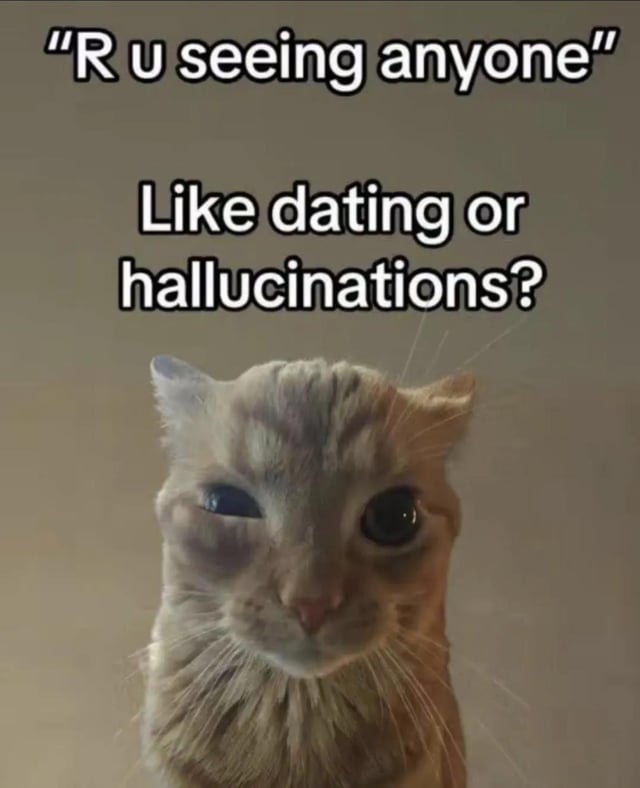This meme features a photograph of a dazed-looking orange cat with one squinted eye, appearing confused or disoriented. Text above the cat first quotes a common question: 'R u seeing anyone', followed by a sarcastic reply: 'Like dating or hallucinations?'. The joke relies on the double meaning of the common English phrase 'seeing someone', which usually refers to being in a romantic/dating relationship, and the literal interpretation of seeing people that are not physically present, i.e. hallucinating. The joke humorously implies that the respondent is so single, or has such poor mental health, that the only 'people' they see are hallucinations rather than romantic partners.