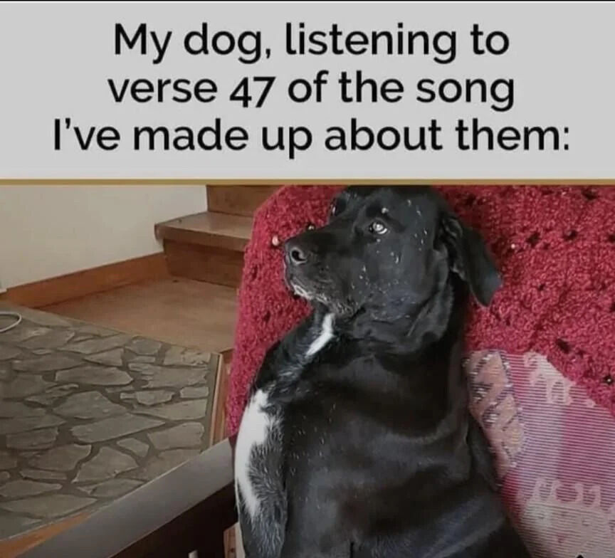 A photograph of a black dog with a white chest patch sitting comfortably against a red crocheted blanket. The dog appears relaxed and attentive, looking upwards with a calm expression. The setting includes a stone-patterned floor and wooden steps in the background. Above the image, there is a text overlay that reads: 'My dog, listening to verse 47 of the song I've made up about them:' which adds a wholesome and affectionate context, highlighting the close bond between the owner and their pet.