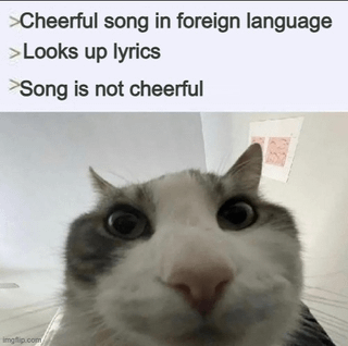 This is a single panel reaction meme. The top of the image has three bulleted lines of text: 1. >Cheerful song in foreign language, 2. >Looks up lyrics, 3. >Song is not cheerful. Below the text is an extreme close-up photograph of a grey and white cat with wide, round, stunned eyes staring directly at the viewer. The meme references the widespread cultural stereotype that Finnish pop and folk songs often have bright, cheerful-sounding melodies, but their actual lyrical content is typically somber, sad, or tragic when translated into other languages.