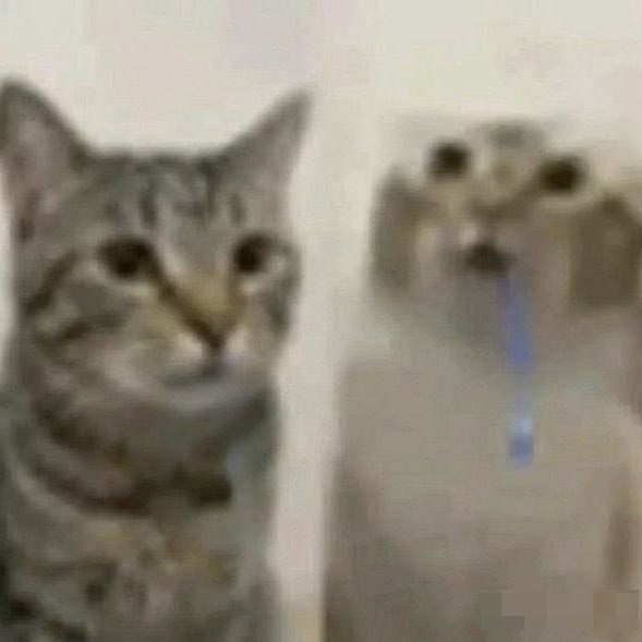 The image shows two tabby cats positioned side by side in front of a plain light-colored interior wall. The cat on the left is moderately less blurred, with wide open eyes and a neutral/confused expression as it looks directly at the camera. The cat on the right is extremely low-resolution and heavily distorted by blur, appearing to hold a blue disposable vape pen near its mouth as if it is vaping. The extremely poor image quality amplifies the surreal, absurd comedic effect of the scene.