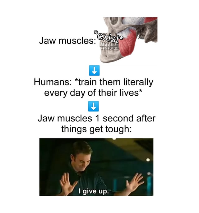 A two-section meme contrasting the perceived resilience of jaw muscles with their quick surrender. The top section features an anatomical diagram of jaw muscles (highlighted in red) labeled 'Jaw muscles: *exist*'. Below, a downward blue arrow leads to the text 'Humans: *train them literally every day of their lives*', followed by another downward arrow. The bottom section shows a real man with his hands raised in surrender, captioned 'Jaw muscles 1 second after things get tough:' with the overlaid text 'I give up.' The humor lies in the relatable frustration of something (here, jaw muscles) failing despite constant use.