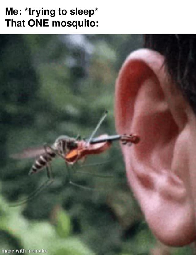 This is a relatable humor meme split into two sections. The top text sets up the scenario: 'Me: *trying to sleep* That ONE mosquito:'. Below the text is an edited photograph of a mosquito hovering right next to a human ear, with the mosquito edited to be holding and playing a tiny violin. The joke personifies the extremely common annoying experience of having a single mosquito make loud high-pitched buzzing sounds right next to your ear when you are attempting to rest, framing the mosquito's buzz as it intentionally playing an instrument to disturb you.