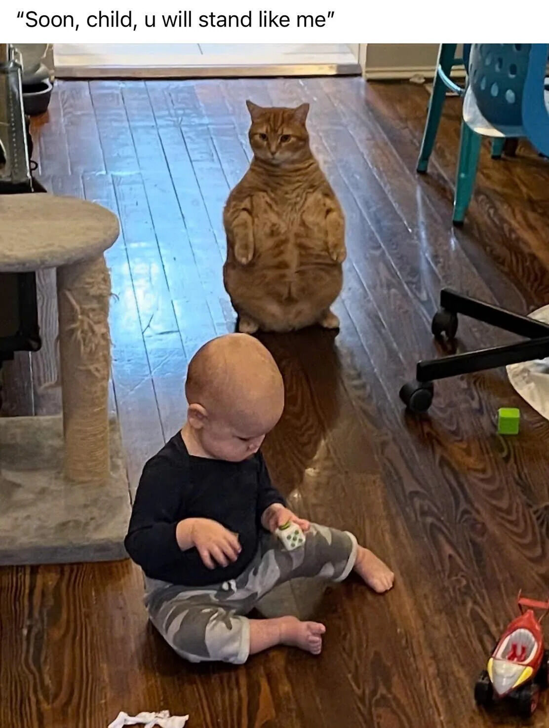 A heartwarming image showing a young baby sitting on a polished wooden floor, wearing a black long-sleeve shirt and gray camouflage-patterned pants. The baby is holding a small white object (possibly a toy) and looking down at it. Behind the baby, a chubby orange cat stands upright on its hind legs, appearing to gaze at the baby. The text overlay at the top of the image reads, "Soon, child, u will stand like me," creating a playful narrative of the cat 'teaching' the baby to stand. The surrounding environment includes a gray cat tree to the left, a blue children's chair, a black office chair, and scattered toys (a green cube and a red toy car) on the floor, enhancing the cozy, homey setting.