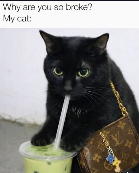 This relatable pet meme answers the question of why a cat owner is always broke. The top text asks 'Why are you so broke?' then introduces 'My cat:', showing a real black cat sipping iced matcha bubble tea through a straw, with an authentic luxury Louis Vuitton handbag slung over its shoulder. The joke highlights the common experience that cat owners spend most of their money spoiling their pet with nice things, leaving themselves broke.