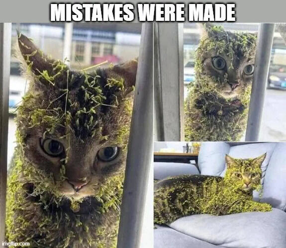 The image is a collage of three photographs featuring a tabby cat covered in green plant material (likely grass or leaves). The top panel shows a close-up of the cat's face, with greenery tangled in its fur and wide, guilty eyes. The middle panel presents a front view of the cat, similarly covered in greenery, standing in front of a window with a blurred outdoor background. The bottom panel shows the cat lying on a gray couch, still covered in green plant material, looking slightly resigned. At the top of the image, bold white text reads 'MISTAKES WERE MADE,' humorously implying the cat has gotten into a messy situation with plants.