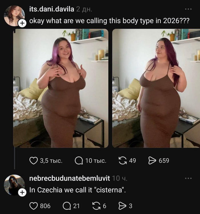 A two-panel image featuring a person with purple hair wearing a form-fitting brown dress, posing in a bedroom. The top text from user 'its.dani.davila' asks, 'okay what are we calling this body type in 2026???' Below the images are engagement metrics: 3.5k likes, 10k comments, 49 shares, and 659 saves. A comment from 'nebrecbudunatebmluvit' responds, 'In Czechia we call it "cisterna"', where 'cisterna' (Czech for 'cistern' or 'tank') is used humorously to describe the body type.