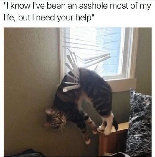This funny animal meme features a real tabby cat that has gotten its entire body stuck awkwardly through the broken slats of interior window blinds. The cat's head and front legs hang down toward the wall, while its back half and legs rest on a small wooden table next to the window. The text at the top anthropomorphizes the cat, having it say "I know I've been an asshole most of my life, but I need your help", joking that the mischievous cat got itself into this predicament and is now humbly asking for rescue after a lifetime of troublemaking.