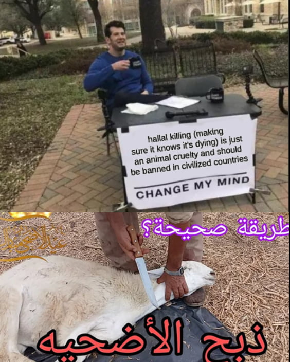 This two-panel meme addresses the controversy over halal ritual slaughter, framed by the original title question 'Is it multicultural enough'. The top panel uses the popular Steven Crowder 'Change My Mind' outdoor debate meme format, featuring a sign that claims halal killing (which the sign misrepresents as intentionally letting the animal know it is dying) is animal cruelty and should be banned in civilized countries, challenging others to change the poster's mind. The bottom panel provides a direct response: a photograph of a person performing traditional halal slaughter of a goat, with Arabic text that translates to 'Is this the correct way? This is the correct slaughter', illustrating the traditional practice in response to the top claim, asking if this inclusion satisfies multicultural requirements.