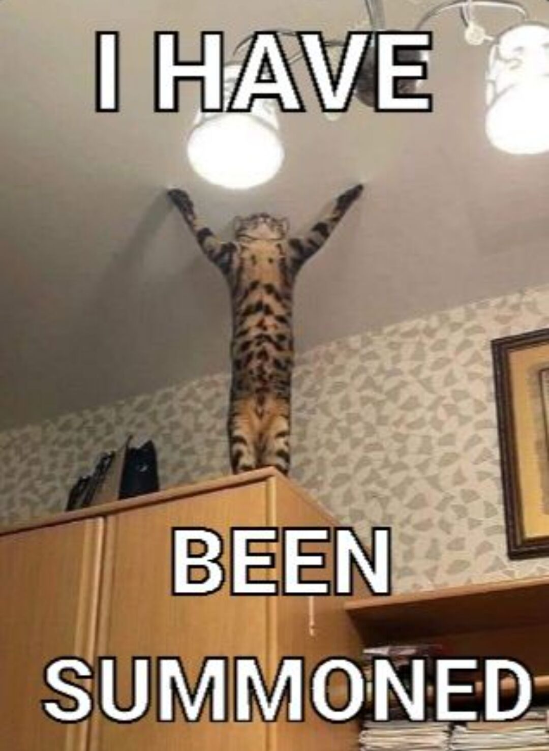The meme features a viral photograph of an unusually long spotted tabby cat (popularly known as Long Cat or Nobiko) standing fully upright on the edge of a tall wooden wardrobe, with its front paws stretched completely upwards to touch the ceiling in a dramatic, triumphant pose. Large, bold white text with black outline is overlaid on the image in three sections: 'I HAVE' at the top above the cat, 'BEEN' in the middle below the cat's torso, and 'SUMMONED' at the bottom of the frame. The background shows a standard residential interior with patterned light grey wallpaper, ceiling light fixtures, and a framed picture hanging on the wall next to the wardrobe. The joke leans into the cat's absurdly elongated body and over-the-top heroic pose to match the dramatic text, framing the cat as having appeared in response to being called, making it a lighthearted comedic reaction.