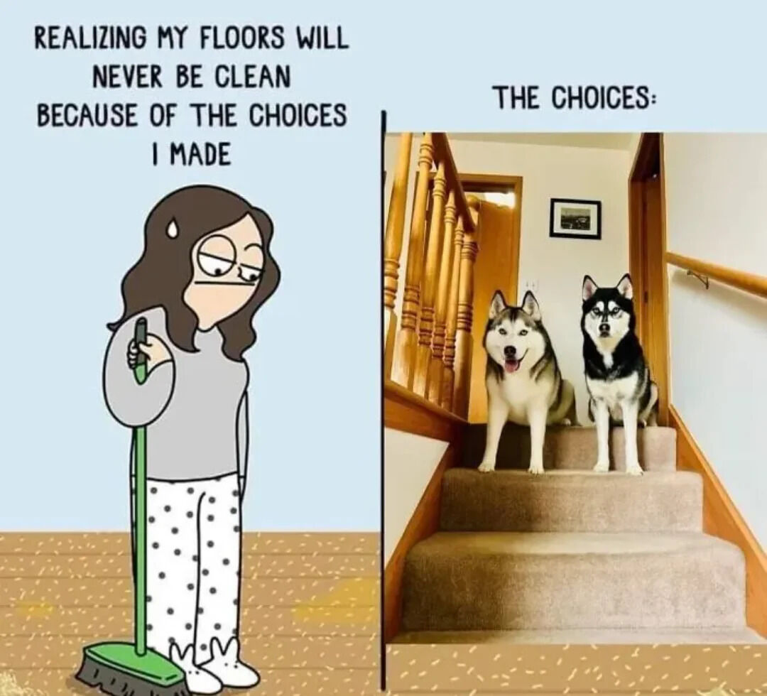 A two-panel meme. Left panel: Animated woman with glasses, gray top, white polka-dot pants, holding a green mop, standing on a floor with visible dirt, looking tired with a sweat drop. Text above: 'REALIZING MY FLOORS WILL NEVER BE CLEAN BECAUSE OF THE CHOICES I MADE'. Right panel: Real photo of two Huskies (one with light fur, one with black and white) sitting on carpeted stairs in a house with wooden railings and a framed picture on the wall. Text above: 'THE CHOICES:'