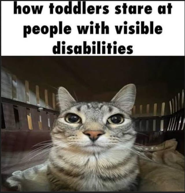 A meme featuring a top text panel that reads 'how toddlers stare at people with visible disabilities' above a photograph of a gray tabby cat. The cat has large, unblinking eyes and an intense, curious expression, positioned to humorously represent the innocent, unfiltered way toddlers might stare at others with visible disabilities—highlighting childlike curiosity without malice.