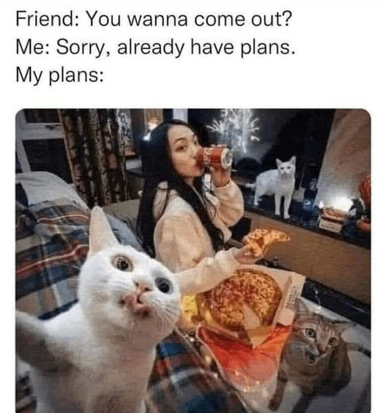 This relatable introvert meme opens with text describing a common interaction: a friend invites the poster to go out socially, the poster declines saying they already have plans. The image below shows what those 'plans' actually are: a cozy night in, where a woman drinks soda and eats pizza, joined by three pet cats. The foreground white cat is edited to look like it is taking a group selfie, playing into the joke that a quiet night with pets and comfort food is the perfect plan for many people.