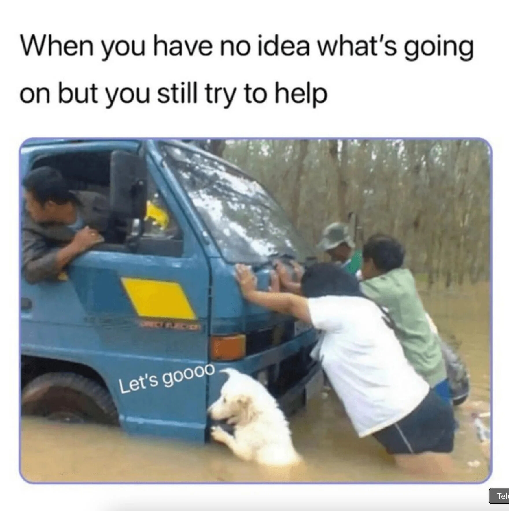 A meme consisting of a real photograph of a blue truck partially submerged in murky floodwater, surrounded by trees. Several people are pushing the truck from the front: one in a white shirt, another in a green shirt, and a white dog with its front paws on the truck's bumper, appearing to help push. The truck driver leans out the window, looking back at the pushers. Above the image is bold text: 'When you have no idea what's going on but you still try to help,' and near the dog is overlaid text: 'Let's gooooo,' emphasizing the wholesome, humorous theme of collective effort despite uncertainty.
