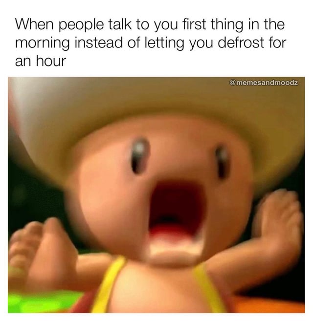 This is a relatable reaction meme. Text at the top of the meme reads 'When people talk to you first thing in the morning instead of letting you defrost for an hour', paired with a blurry close-up shot of the Super Mario character Toad screaming with both hands raised in clear distress. The meme humorously conveys the widespread, relatable feeling of being irritated by unwanted social interactions immediately after waking up, before having time to adjust to consciousness, drink coffee, or mentally prepare for the day.