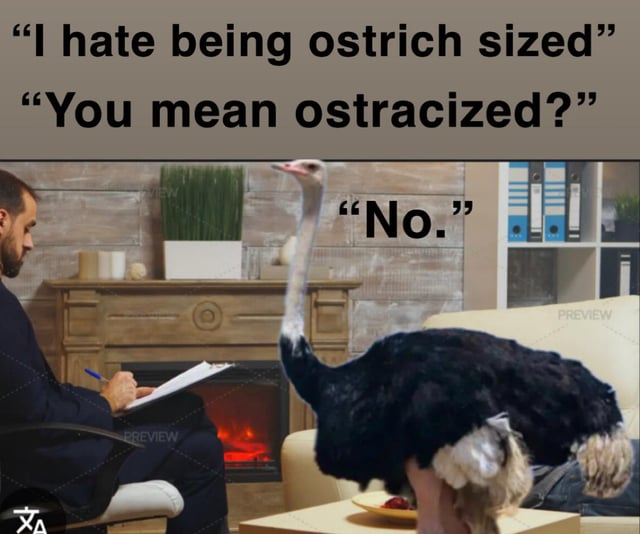 A meme depicting a humorous interaction between a man (presumed to be a therapist) and an ostrich in a cozy室内 setting with a lit fireplace. The man sits in a chair holding a clipboard, while the ostrich stands on a table facing him. The dialogue plays on the phonetic similarity between 'ostracized' (socially excluded) and 'ostrich sized' (referring to the bird's physical dimensions). The ostrich initiates with 'I hate being ostrich sized,' prompting the man to ask, 'You mean ostracized?,' to which the ostrich deadpans, 'No,' emphasizing the joke that its insecurity stems from size rather than social exclusion. The background includes a wooden fireplace, potted plants, and shelves with binders, creating a casual, domestic atmosphere.