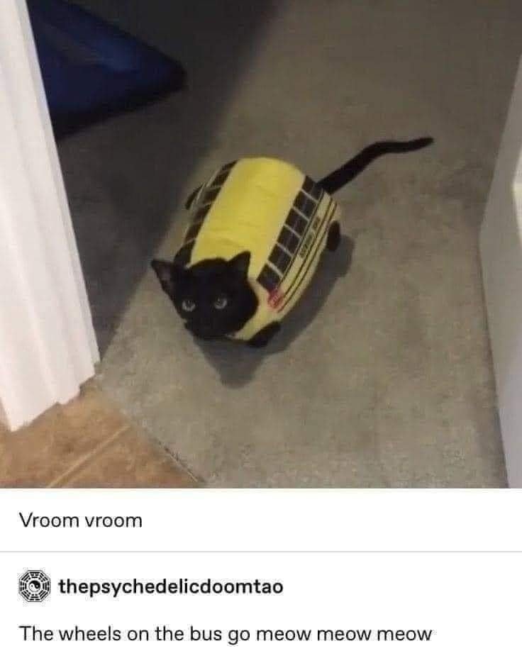 The meme features a photograph of a black cat standing on a grey carpeted floor, wearing a plush yellow school bus costume, with only its head, front paws, and black tail sticking out of the costume as it looks up at the camera. Below the photo, the top line of text reads 'Vroom vroom', followed by a comment from user thepsychedelicdoomtao that says 'The wheels on the bus go meow meow meow', which is a humorous pun referencing the popular children's nursery rhyme 'The Wheels on the Bus', replacing the standard sound lyrics with cat meows, since the 'wheels' of the bus costume are the cat's own paws.