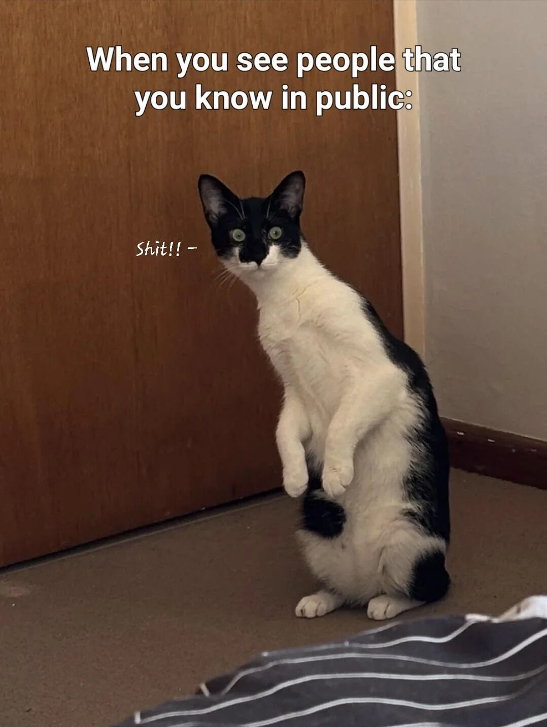 A photograph of a black and white cat standing upright on its hind legs in front of a wooden door. The cat has a startled expression with wide green eyes, looking upwards. At the top of the image, bold white text reads 'When you see people that you know in public:'. To the left of the cat's head, smaller white text reads 'Shit!! –', humorously personifying the cat's apparent panic. The image captures the relatable feeling of sudden anxiety when unexpectedly encountering acquaintances in public, using the cat's dramatic posture and expression to amplify the comedic effect.