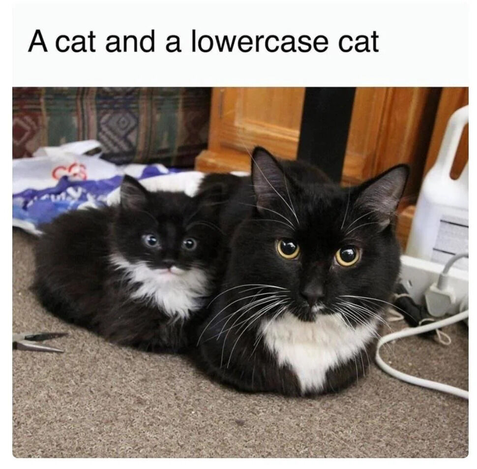 An image featuring two black and white cats lying on a carpeted floor. The top of the image displays the text 'A cat and a lowercase cat,' which is a pun utilizing the double meaning of 'lowercase'—playing on the word's literal sense (smaller in size) to refer to the kitten as a 'lowercase' (small) version of the adult cat. The adult cat, larger with striking yellow eyes and a white chest patch, appears alert and curious. The smaller kitten, positioned closely to the adult, has wide blue eyes and a similar black and white coat, looking equally curious. The background includes a wooden cabinet, a patterned rug, and scattered household items like a plastic bag and a hair dryer, indicating a home setting.