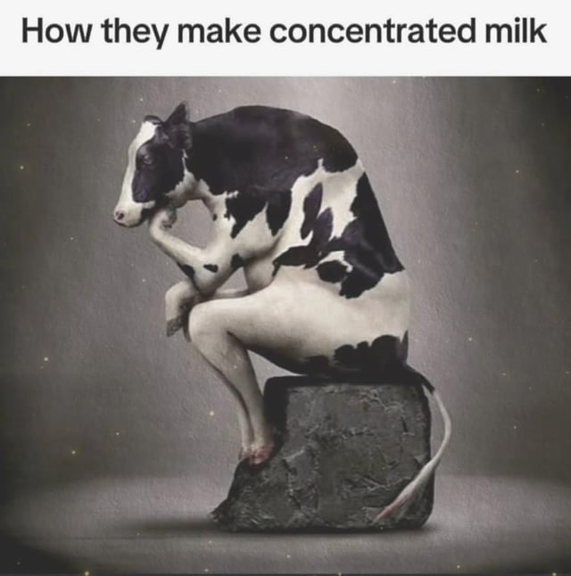 A meme featuring an anthropomorphized cow positioned in a human-like contemplative pose: sitting on a rough-hewn rock, with one front hoof raised to rest under its chin, mimicking deep thought. The top of the image displays the text 'How they make concentrated milk,' which plays on the pun of 'concentrated'—the cow is humorously depicted as 'concentrating' (thinking deeply), implying this is the absurd process for creating concentrated milk. The background is a plain, muted gray with subtle star-like specks, focusing attention on the cow's unnatural yet comedic posture.