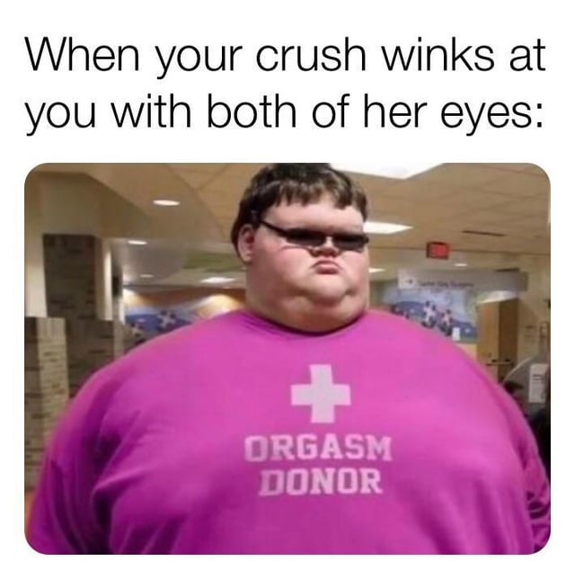 This meme consists of a top text caption that reads 'When your crush winks at you with both of her eyes:', followed by a photo of an overweight young man wearing dark wrap-around sunglasses and a bright magenta t-shirt printed with a white cross symbol and the words 'ORGASM DONOR' below it, standing in an indoor public hallway that appears to be a school or community center. The humor is ironic: winking with both eyes is not an actual romantic signal, it is just a person closing their eyes, so the joke centers on the subject's overconfidence and delusional belief that his crush is romantically interested in him, playing off the absurdly bold claim on his t-shirt that he is highly desirable to women.