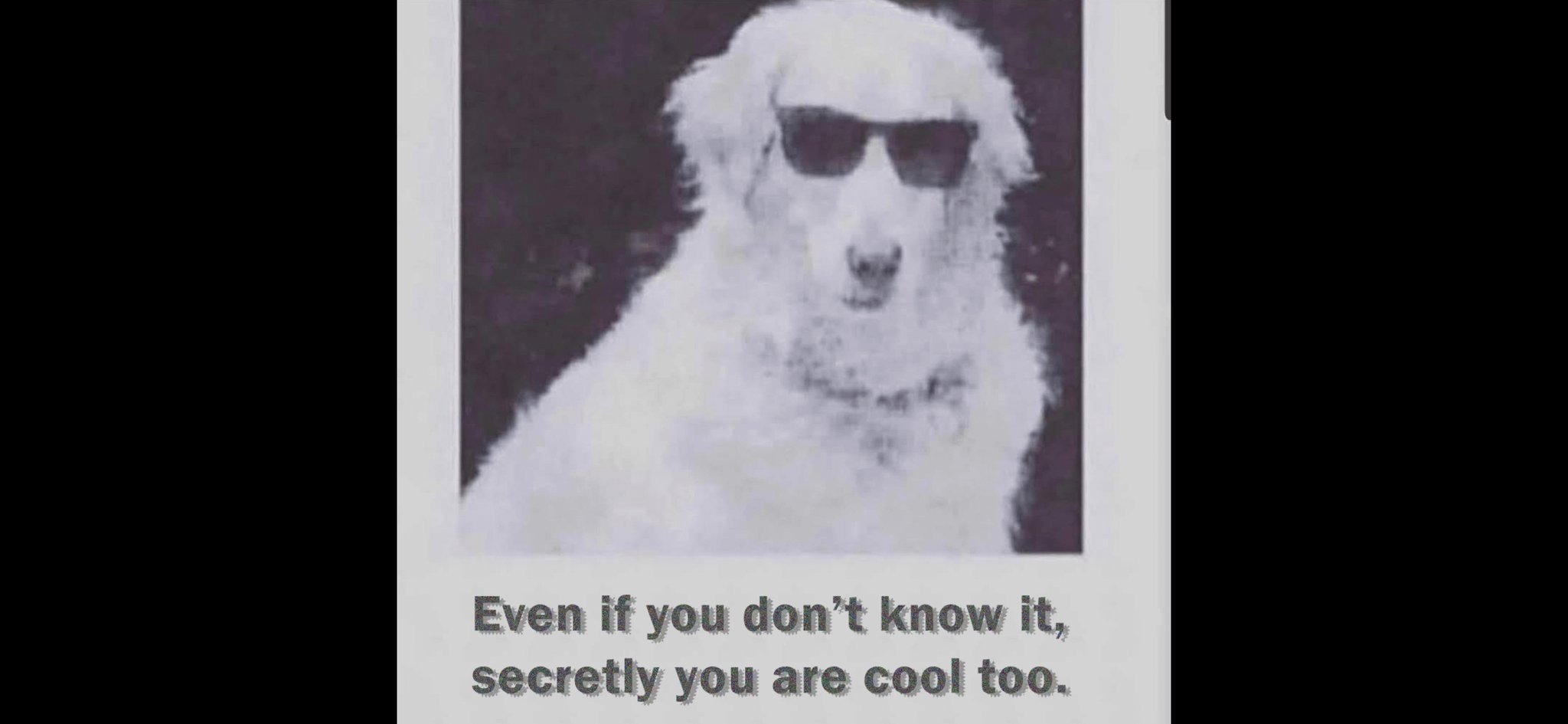 A black and white photograph of a white fluffy dog wearing dark sunglasses, positioned centrally. Below the image, there is a gray text caption that reads: 'Even if you don't know it, secretly you are cool too.' The meme uses the dog's cool appearance (due to the sunglasses) to deliver a wholesome and uplifting message, encouraging the viewer that they possess hidden coolness.