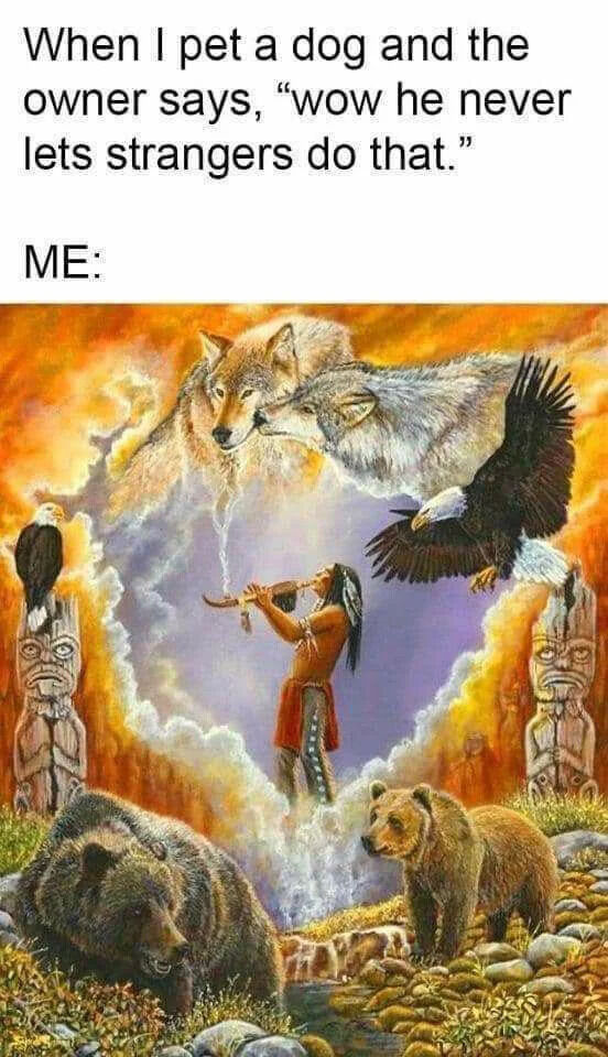 The meme consists of two sections: a top text panel and a bottom illustrative panel. The top text reads: 'When I pet a dog and the owner says, “wow he never lets strangers do that.” ME:' Below this text is a vivid, colorful illustration featuring a Native American figure in traditional attire (red garment, feathered headdress) playing a flute. The figure is surrounded by a spiritual landscape with swirling orange and purple clouds, flowing water, and totem poles. Wildlife including two wolves (one gray, one white), two bald eagles, and two bears (one dark, one light brown) are positioned around the figure, creating a sense of harmony and mystical connection. The illustration conveys a powerful, reverent atmosphere, humorously contrasting the mundane scenario of petting a dog with the profound feeling of being uniquely trusted by the animal.