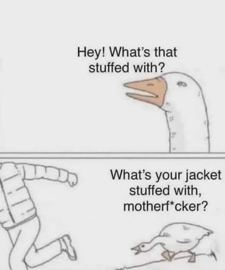 This is a two-panel hand-drawn comic meme with the original title "He knows too much". In the first panel, the head of a goose asks off-panel "Hey! What's that stuffed with?", referring to a human's puffer jacket. In the second panel, the human is running away, while the aggressive goose chases him, yelling the follow-up question "What's your jacket stuffed with, motherf*cker?". The joke is a pun based on the fact that most puffer jackets are filled with "goose down" (feathers plucked from geese), so the goose realizes the jacket is made from dead geese, and confronts the human for it, hence the title "He knows too much".