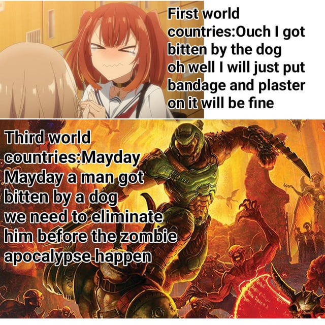 This two-panel comparison meme humorously exaggerates the contrasting reactions to a dog bite between individuals from first-world and third-world countries. 

**Top Panel**: Features an anime girl (Takina Inoue from *Lycoris Recoil*) with a pained, annoyed grimace, paired with text describing a casual, calm response: *"First world countries: Ouch I got bitten by the dog oh well I will just put bandage and plaster on it will be fine"*. This panel portrays a relaxed approach to a minor injury, typical of contexts where medical care is easily accessible. 

**Bottom Panel**: Uses official art of the Doom Slayer from the *Doom* video game franchise, set in a chaotic, hellish battle scene with demons. The accompanying text depicts an over-the-top, hyper-vigilant reaction: *"Third world countries: Mayday Mayday a man got bitten by a dog we need to eliminate him before the zombie apocalypse happen"*. This exaggerates the fear of rabies (a real concern in many third-world regions with stray dog populations) to an absurd extreme, framing it as a potential zombie apocalypse. 

The joke relies on the stark contrast between the two reactions, leveraging pop culture characters to amplify the comedy: the mild-mannered anime character for the first-world calm, and the ultra-violent, apocalypse-ready Doom Slayer for the third-world panic. It satirizes cultural perceptions of risk and access to healthcare through hyperbole.