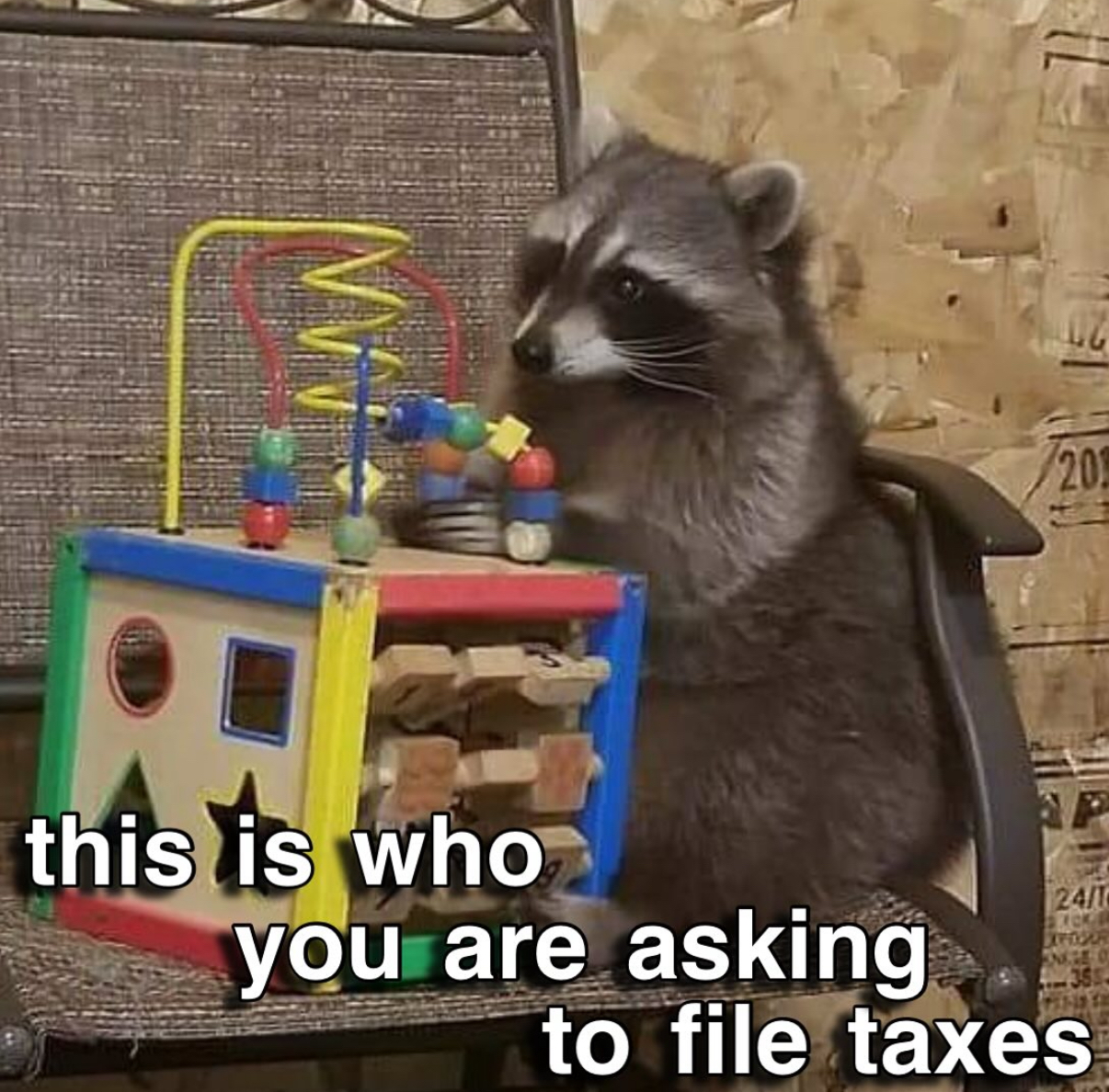 The image features a real raccoon sitting upright in a standard office chair, focused on playing with a colorful multi-sided children's activity cube that has bead mazes on its top surface. White bold text with a black outline is overlaid at the bottom of the image, reading 'this is who you are asking to file taxes'. The joke is a relatable self-deprecating gag where the poster compares themselves to the raccoon, implying that they are just as unqualified, inexperienced, and ill-equipped to handle the complicated adult responsibility of filing taxes as a raccoon that only knows how to play with simple children's toys.